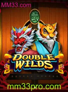 Explorando o Jogo DoubleWilds: Descrição, Introdução e Regras